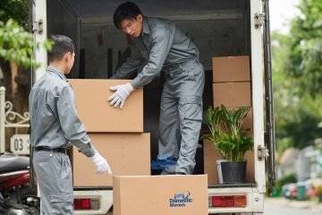 office moving companies auckland