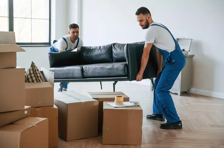 cheap removalists